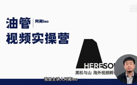 2025阿藺Leo油管（YouTube）實(shí)操課價值(1980)